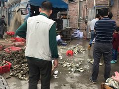 -蚝专家(北滘店)