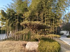 -清凉寺