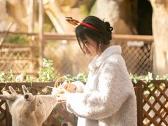 -杭州开元森泊度假乐园