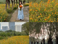 -艾溪湖湿地公园