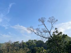 -深圳仙湖植物园