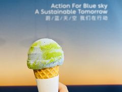 燕麦地球-Dal Cuore 达可芮冰淇淋(陕西北路店)