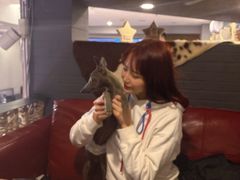 -百好乐宠物友好餐厅(朝外大街店)