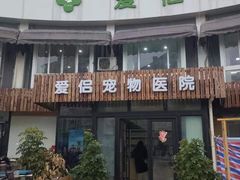 -爱侣宠医·鹦鹉专科·小型哺乳类·异宠专科(灵石路店)
