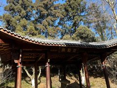 -莫干山风景区