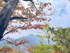 -黄山风景区