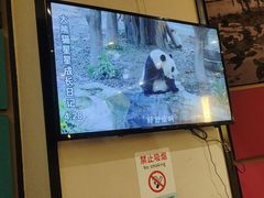 -眉州东坡(印象城购物中心店)