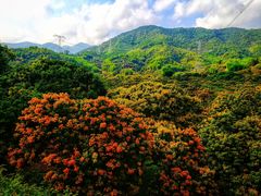 -广州市石门国家森林公园