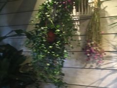 -春暖花开(西溪店)