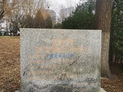-莲花池公园