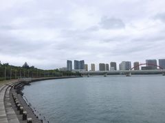 -五缘湾湿地公园