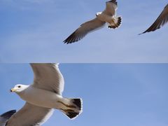 -星海广场
