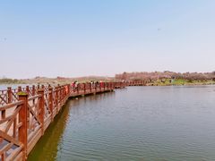 -上海海湾国家森林公园