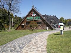 -崇明东平国家森林公园烧烤房车露营地