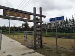 -上海长兴岛郊野公园