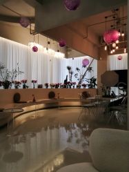 -韩芙莱芳疗spa健康管理