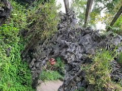 -华南国家植物园-售票处