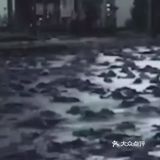 从天而降，在很多地方都出现过