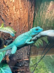 -酷嗒动物文化乐园(cutezoo西溪乐天城店)