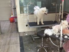 -暖阳宠物医院·犬猫康复中心·骨科