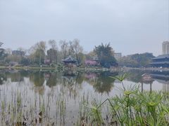-北湖公园