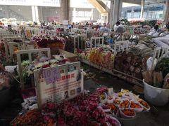 -昆明国际花卉拍卖交易中心