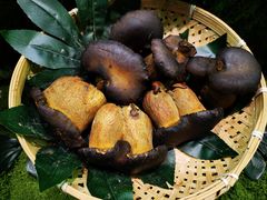 -花菇朵 ll 野生菌火锅·精品云南菜(后沙峪店)