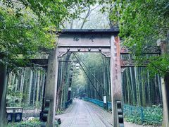 -云栖竹径