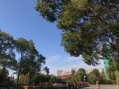 -华东政法大学(松江校区)