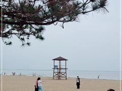 -金梦海湾浴场
