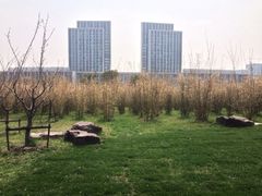 -无锡市市民中心