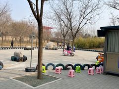 -大望京公园
