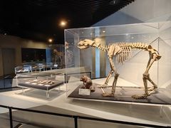 -北京周口店北京人遗址博物馆