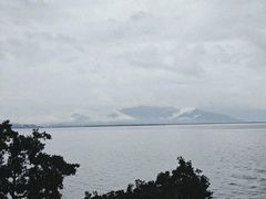 -深圳湾公园(南山区)