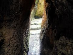 -王万妈卤猪脚(青岩交通路)