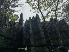 -梭布垭石林景区