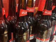 -管氏翅吧(马家堡店)