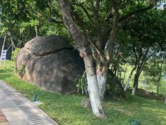-玉树公园