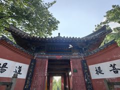 -洛阳白马寺