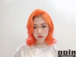 -ODIN 奥丁形象设计 