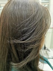 -潘多拉Hairsalon
