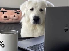 -星巴克臻选(郑州中原万达店)