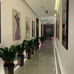 点击看大图 -维纳斯婚纱摄影(友好北路店)
