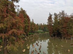 -海珠湖公园