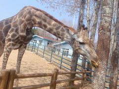 -大连森林动物园