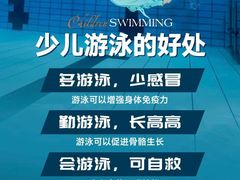 -重庆市奥林匹克体育中心-游泳跳水馆