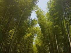 -苏州吴中太湖旅游区