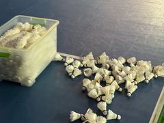 -东坡羽毛球馆(东坡南一路店)