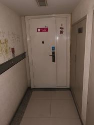 -净漪造型 PURE RIPPLE