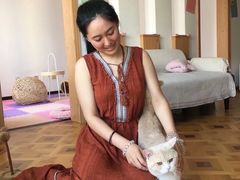 -MOYOYO猫咪咖啡店